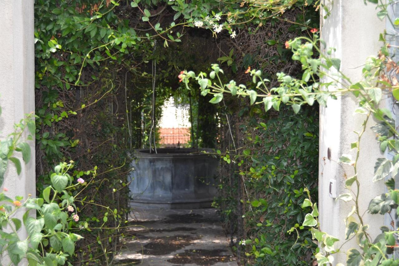 I Giardini Del Vesuvio Somma Vesuviana Exterior foto
